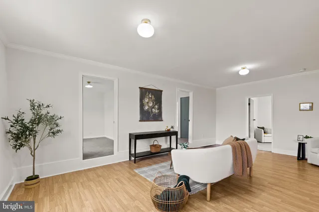 a living room with furniture and a potted plant