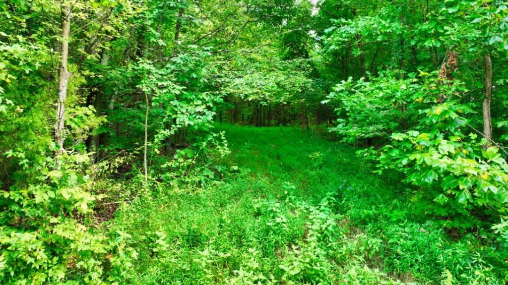 Penrod Lane Dunmor, KY 42339 - Photo 11 of 20 Gallery Image 11