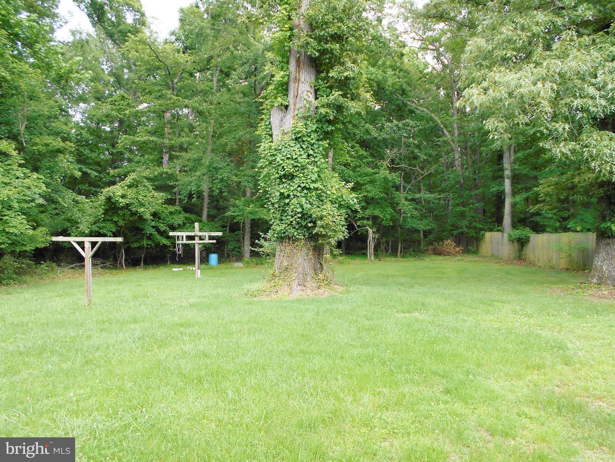 4310 Middletown Road Pomfret, MD 20675 - Photo 7 of 28 Backyard