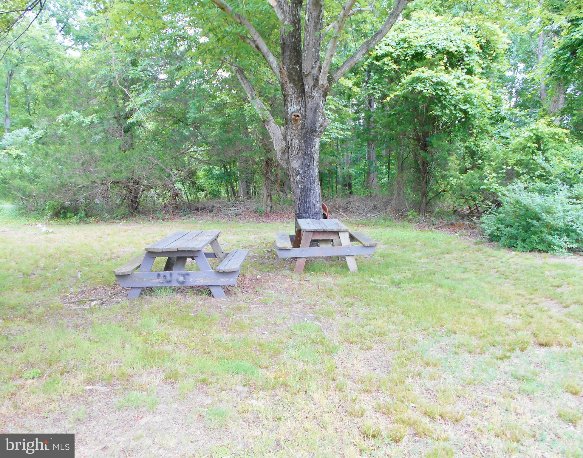 4310 Middletown Road Pomfret, MD 20675 - Photo 9 of 28 Front Side Yard