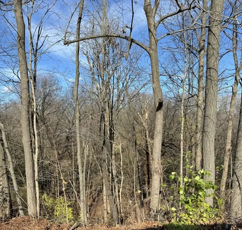 a view of a yard of the house