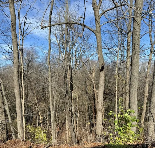 $25,500 | 10420 West Pickford Avenue, Beach Park, IL 60099