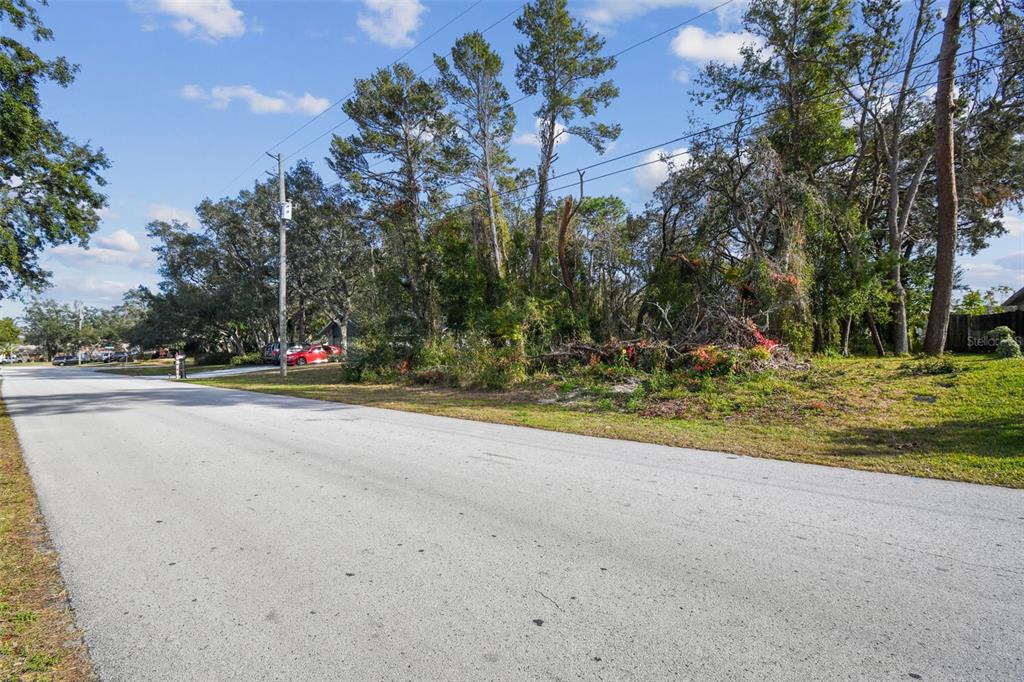 a view of road with tree