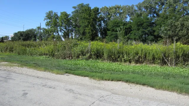 a view of a grassy field with trees