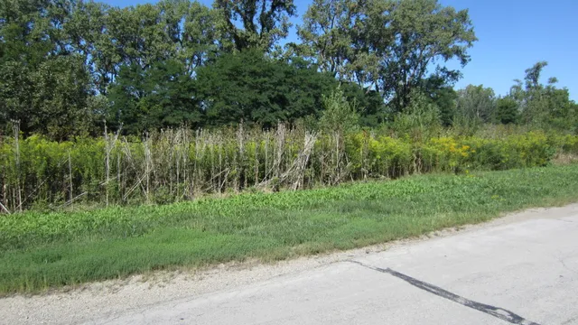 a view of a garden with a lake
