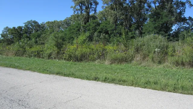 a view of a field of grass and trees