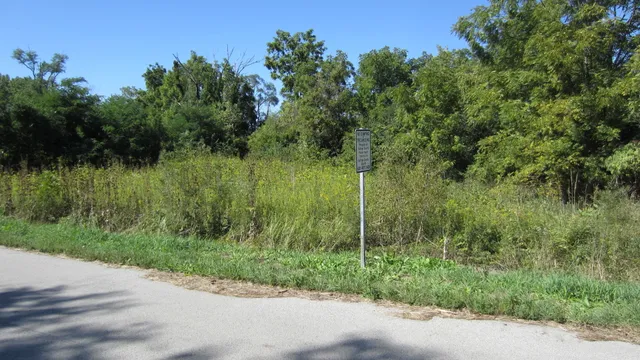 a view of a back yard