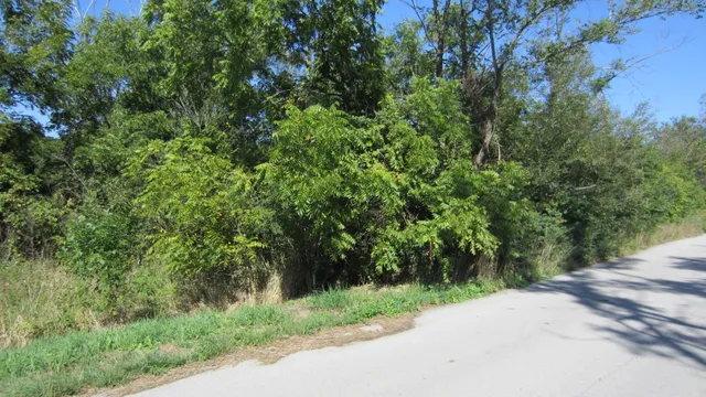 a view of a road with plants and a small yard