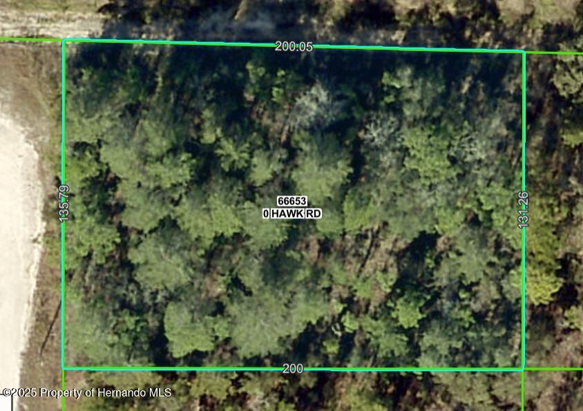 Lot 1 Hawk Road Weeki Wachee, FL 34614 - Photo 2 of 3
