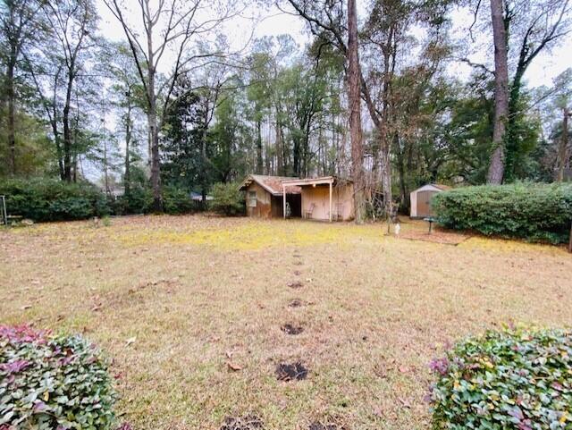 211 Ann Street Hampton, SC 29924 - Photo 22 of 22 thumbnail_IMG_3005
