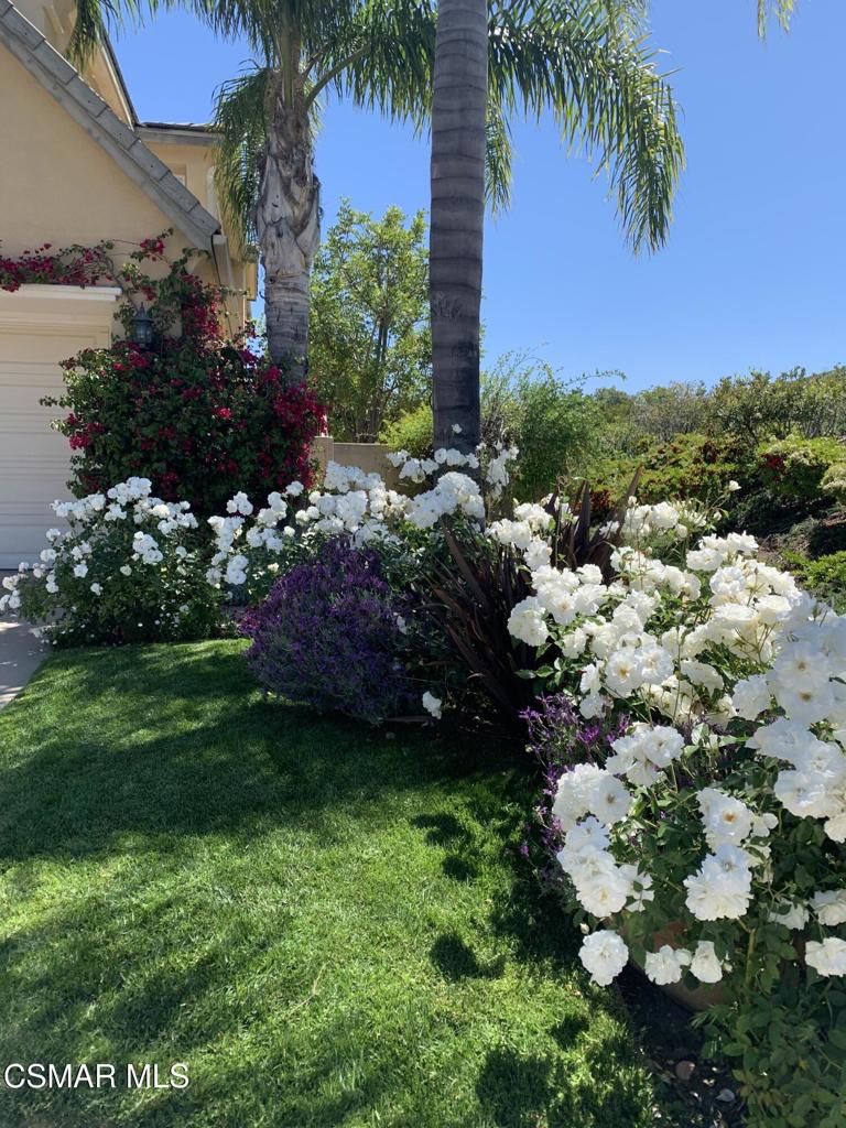 3082 Eaglewood Avenue Thousand Oaks, CA 91362 - Photo 25 of 29 a bunch of flowers in front of house