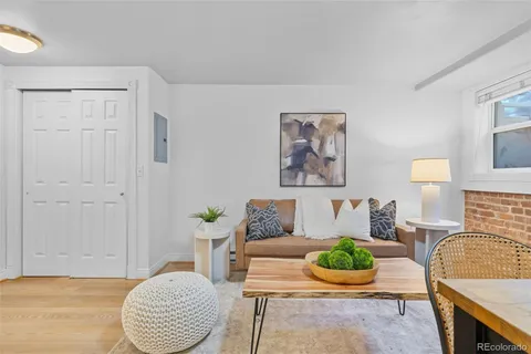 a living room with furniture and a potted plant