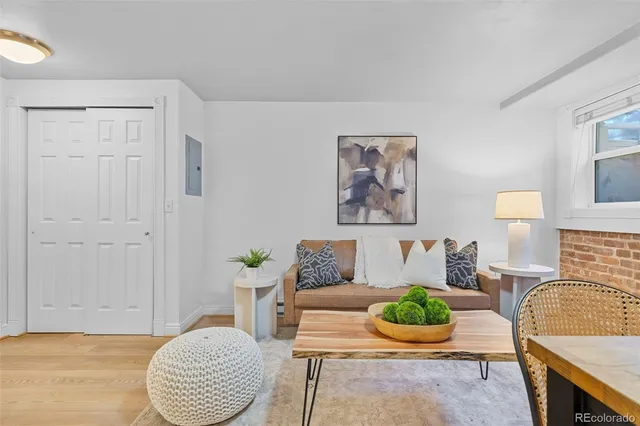 a living room with furniture and a potted plant