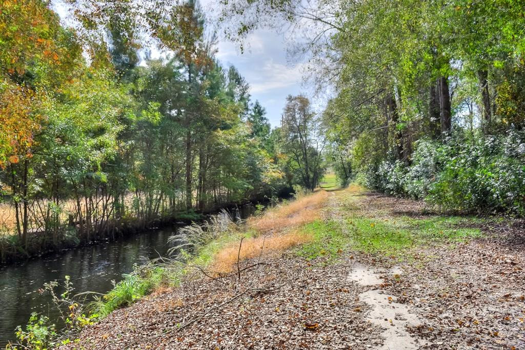 492 Black River Road Barnwell, SC 29812 - Photo 39 of 58 Gallery Image 39