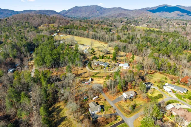 a view of a forest with mountains in the background