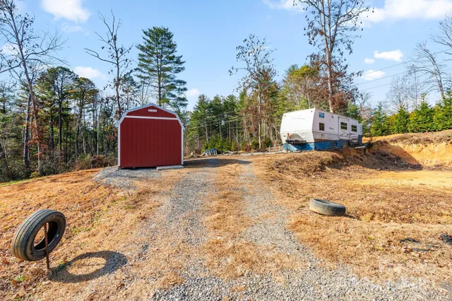 a view of road with large trees