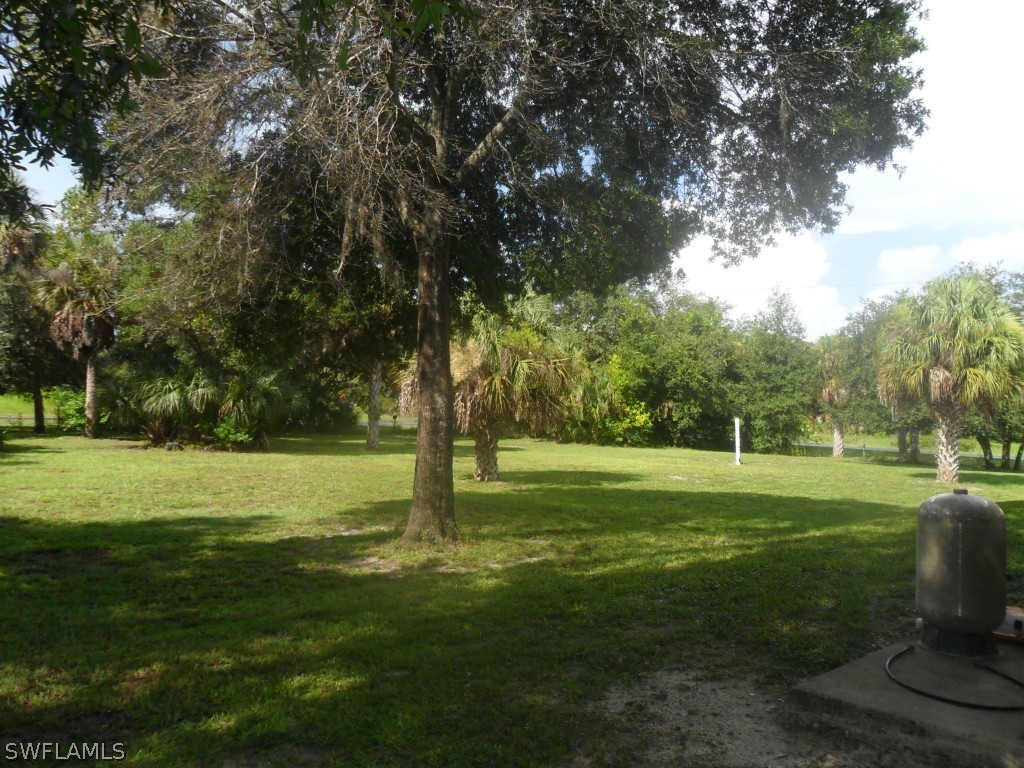 18000 Persimmon Ridge Road Alva, FL 33920 - Photo 5 of 25 a view of a trees in a park