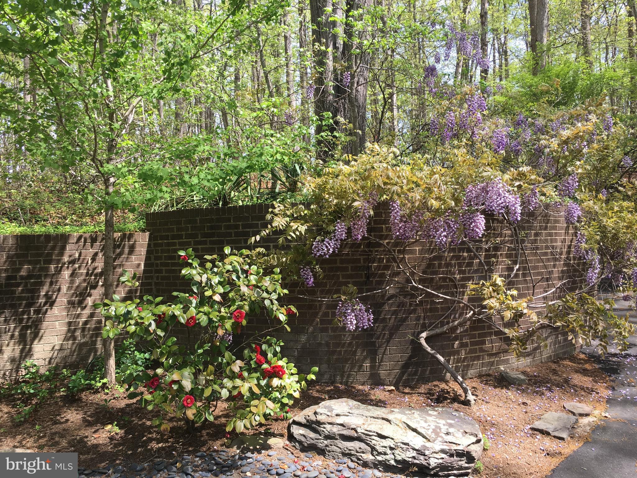 686 Discovery Road Davidsonville, MD 21035 - Photo 60 of 74