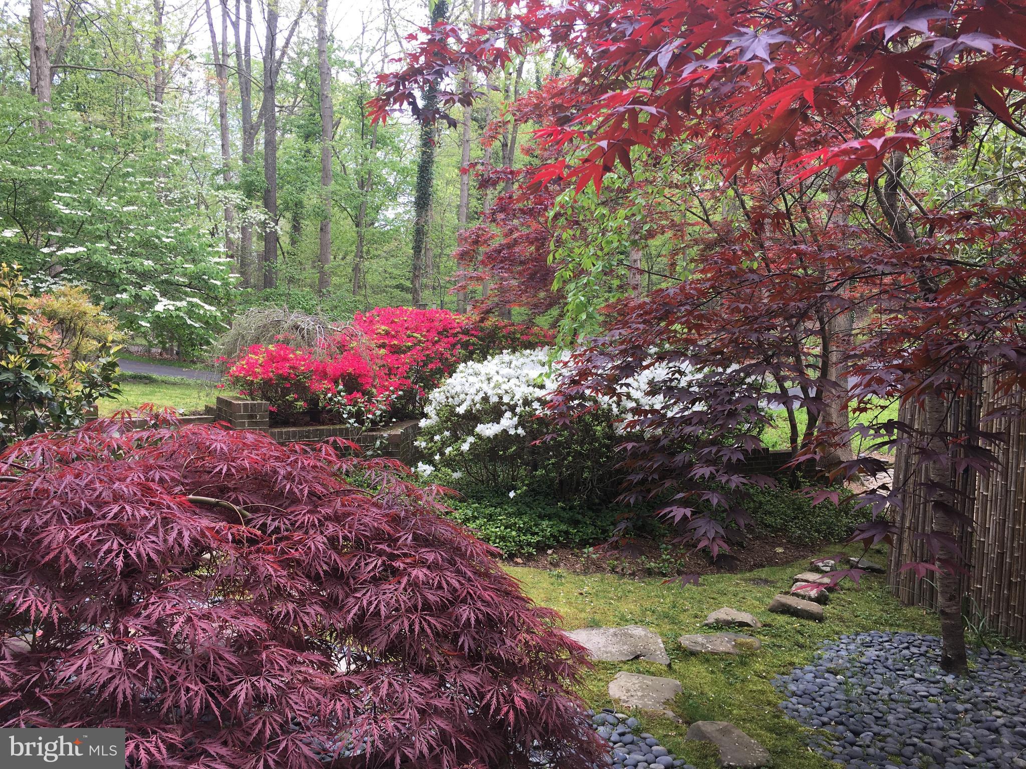 686 Discovery Road Davidsonville, MD 21035 - Photo 61 of 74 Views of springtime