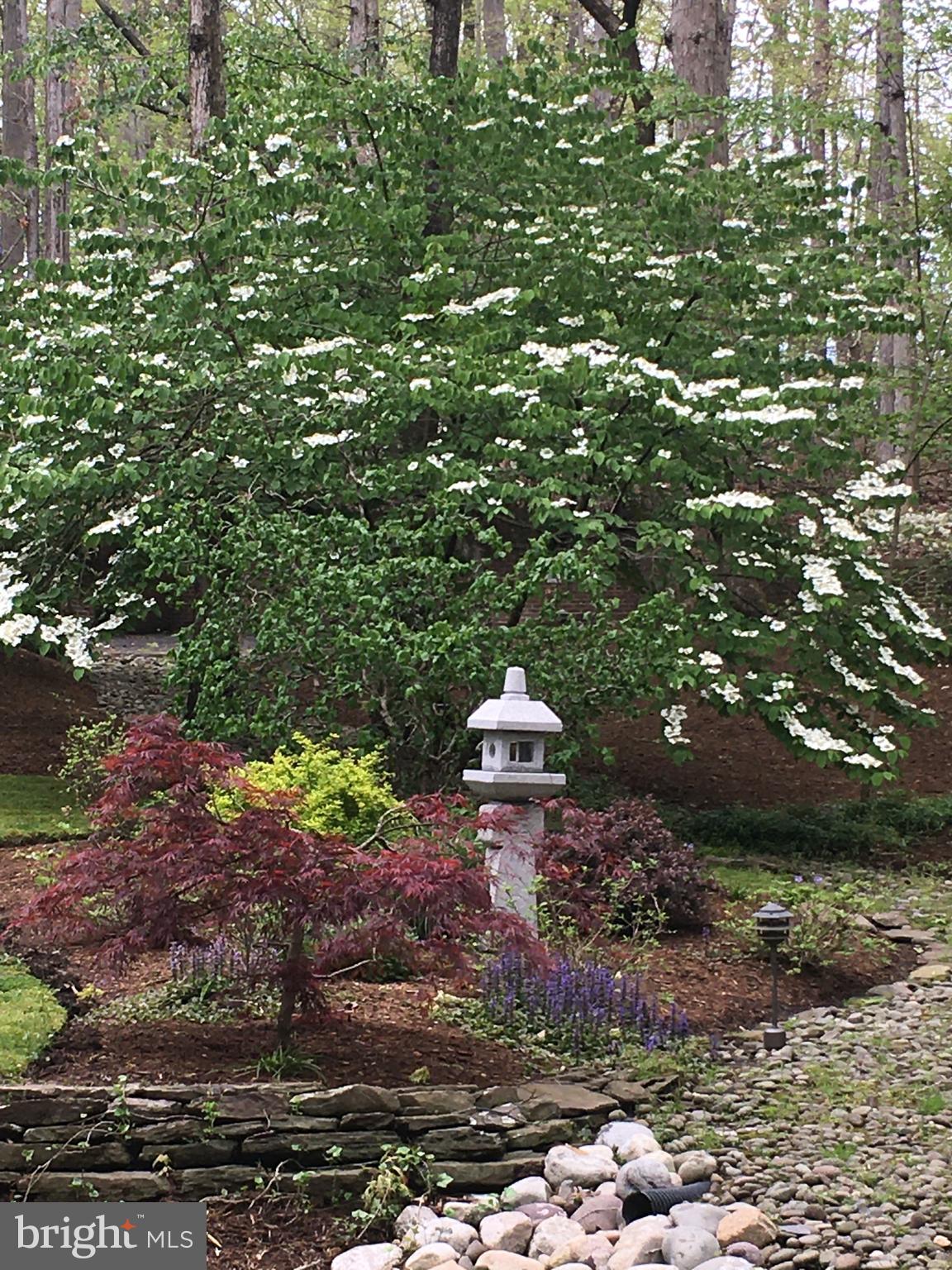 686 Discovery Road Davidsonville, MD 21035 - Photo 62 of 74