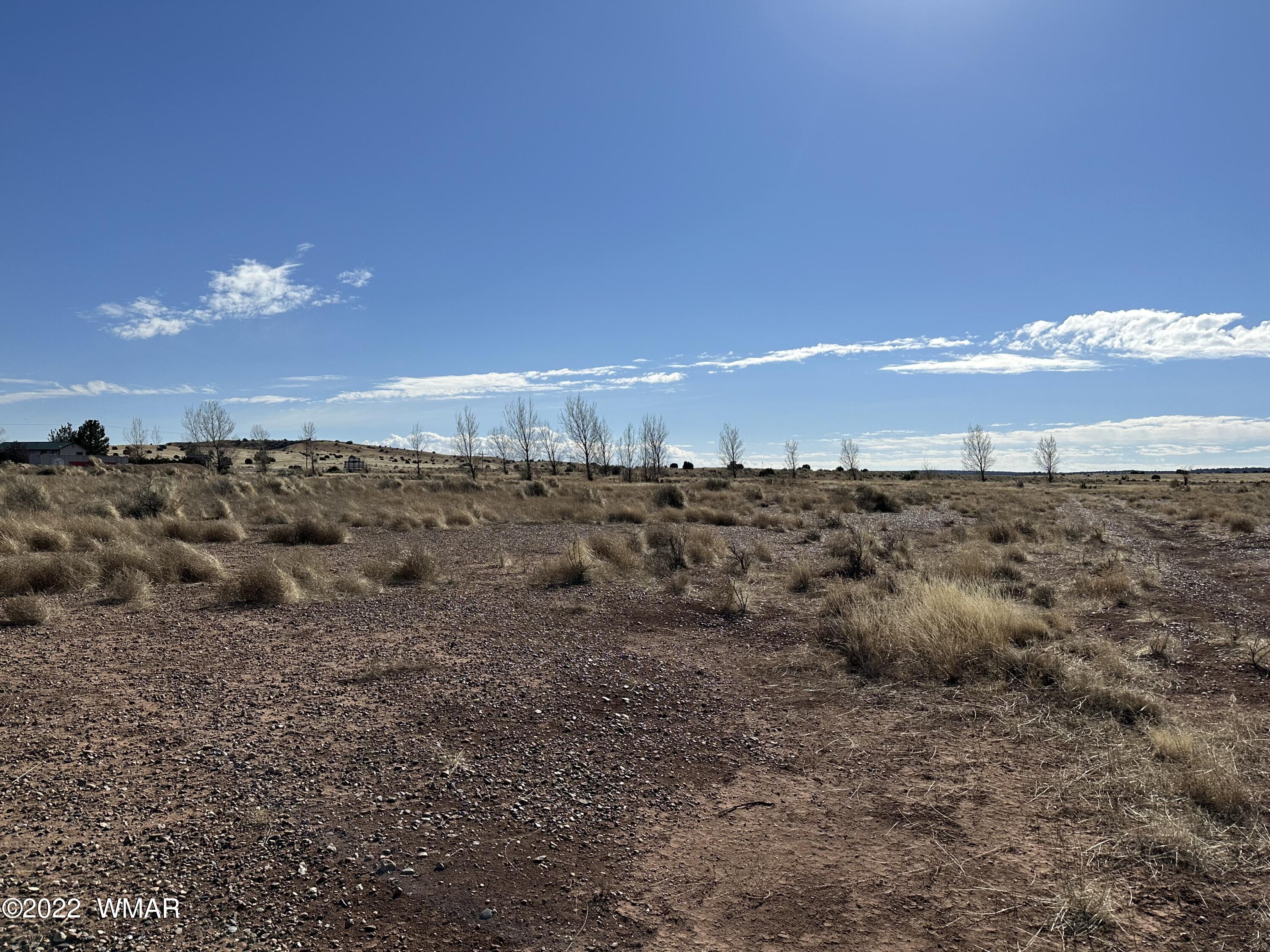 Tbd West Taylor Farms Road Taylor, AZ 85939 - Photo 29 of 40