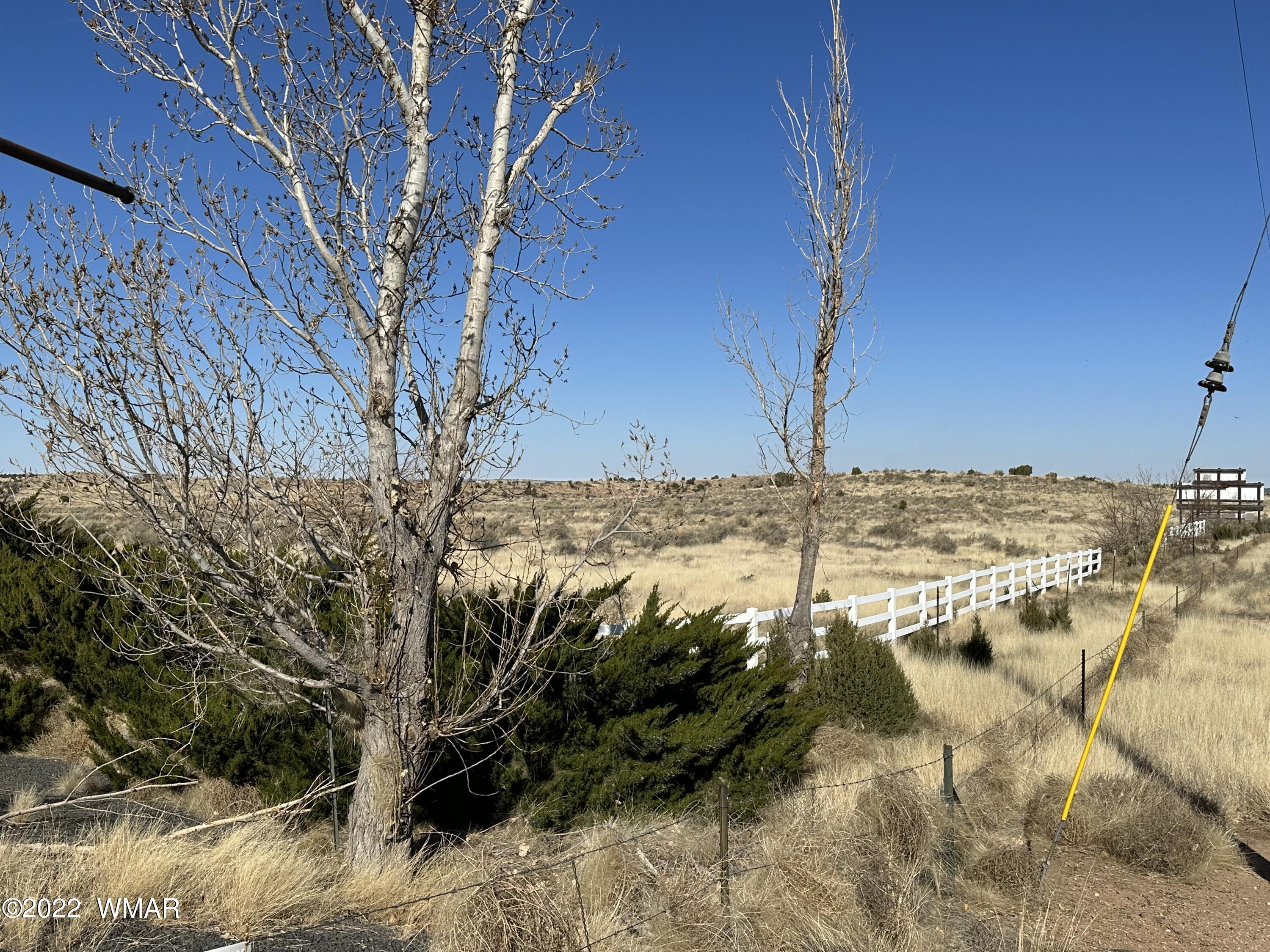 Tbd West Taylor Farms Road Taylor, AZ 85939 - Photo 6 of 40