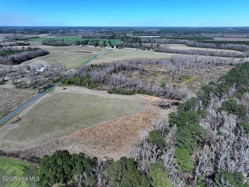 Tbd Old Stage Road Gibson, NC 28343 - Photo 6 of 10 DJI_20250319155821_0493_D