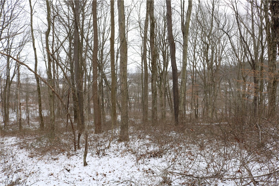 9080 Derry Road Southwest Bowerston, OH 44695 - Photo 4 of 7 Gallery Image 4