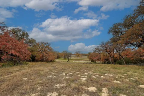 a view of a yard with an trees