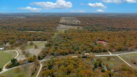 a view of a pathway of a yard