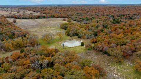 a view of a dry yard