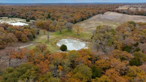 a view of an ocean beach
