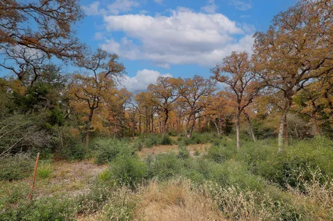 $195,000 | 1563 County Road 312, Thrall, TX 76578