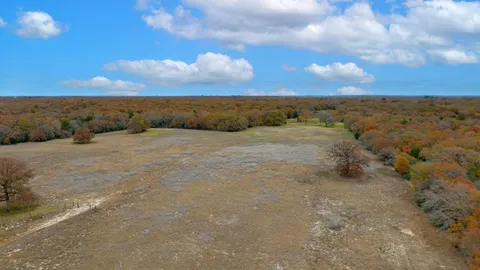 $195,000 | 1563 County Road 312, Thrall, TX 76578