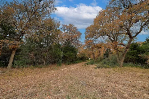 a view of outdoor space and trees