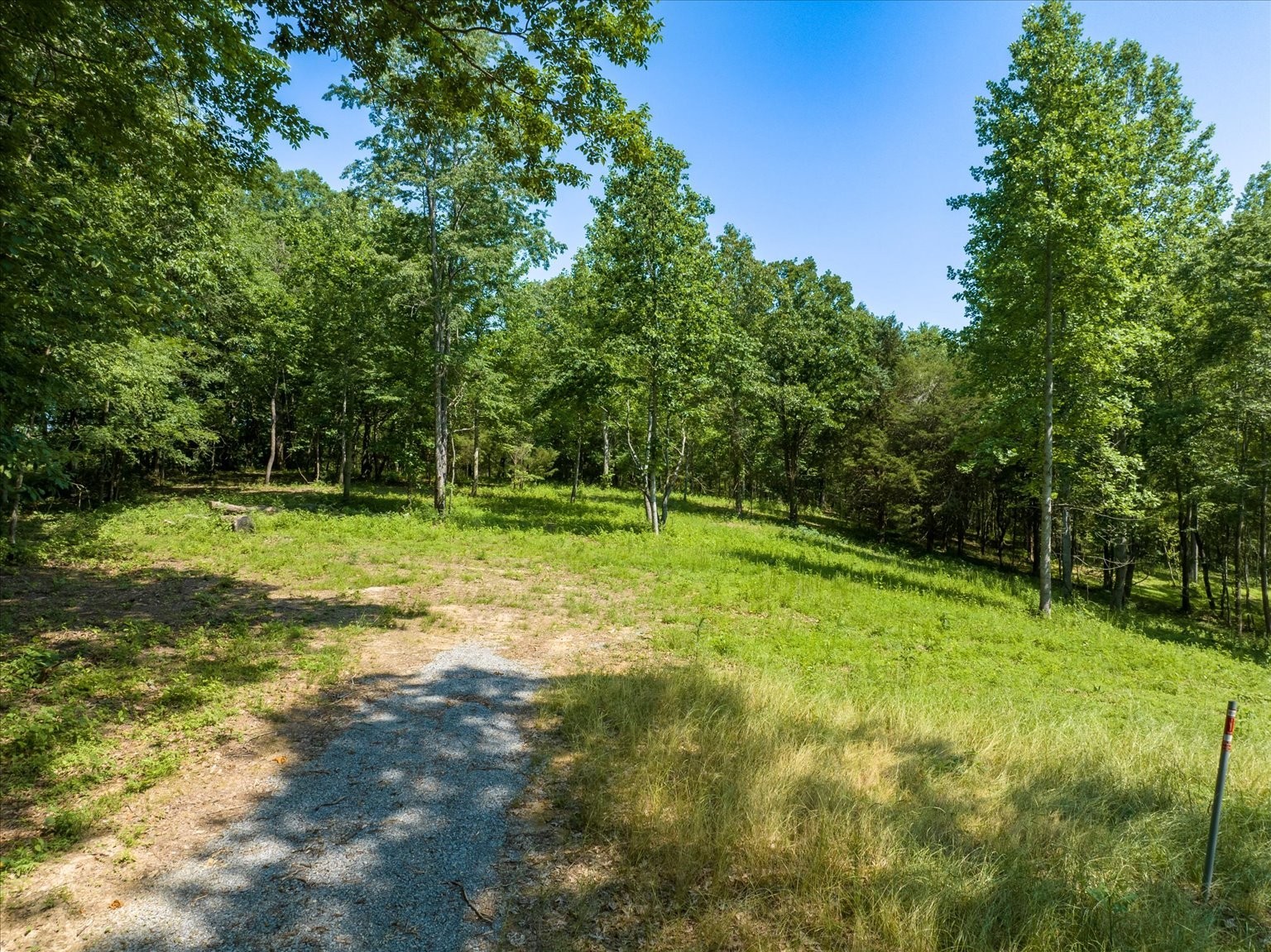 6009 Garrison Road Franklin, TN 37064 - Photo 11 of 21 a swimming pool with trees in the background