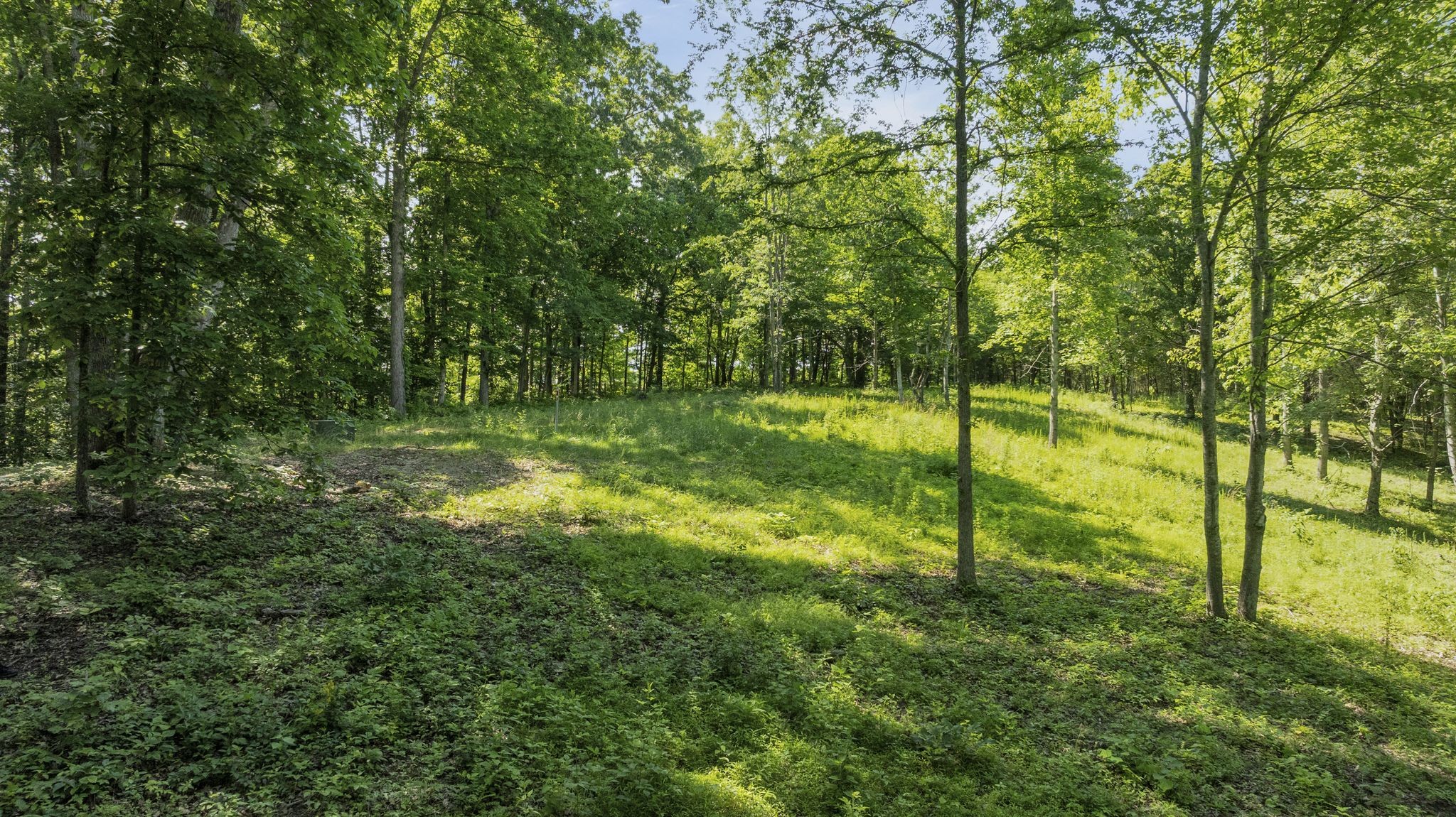 6009 Garrison Road Franklin, TN 37064 - Photo 14 of 21 a view of yard with green field