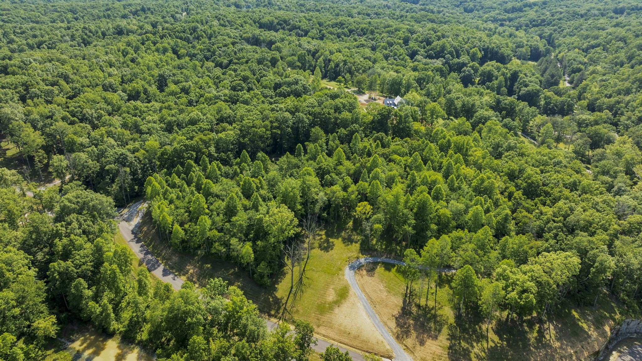 6009 Garrison Road Franklin, TN 37064 - Photo 15 of 21 an aerial view of residential houses with outdoor space and trees