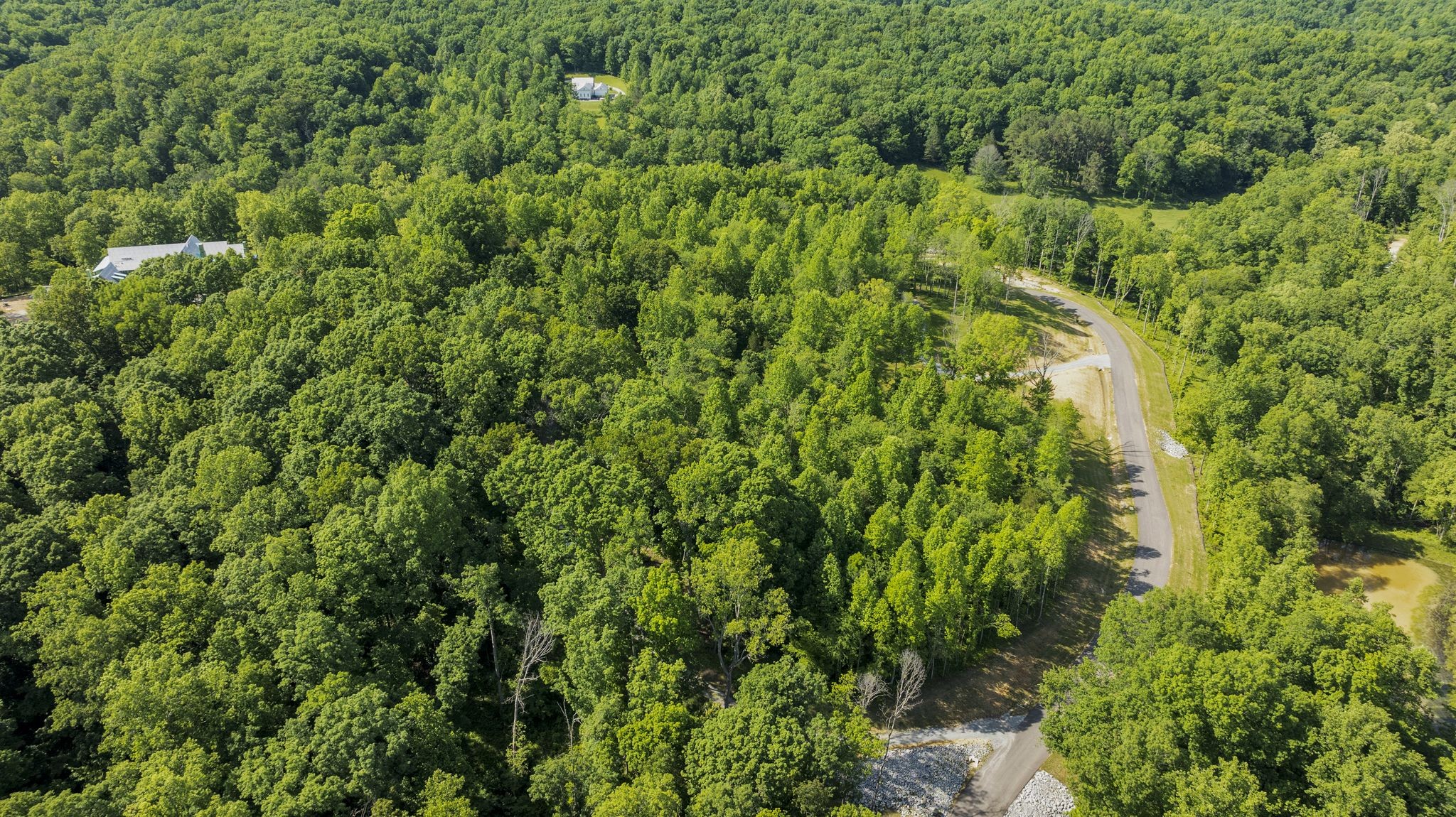 6009 Garrison Road Franklin, TN 37064 - Photo 16 of 21 a view of a lush green forest