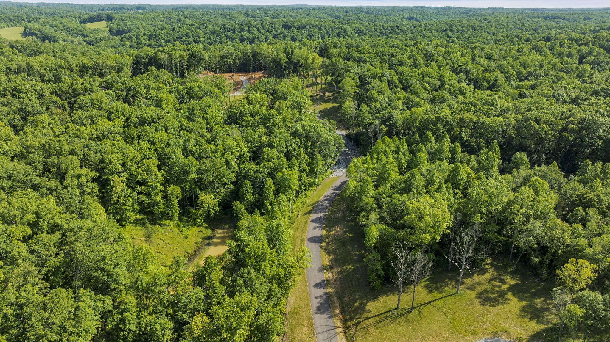 6009 Garrison Road Franklin, TN 37064 - Photo 18 of 21 a view of a lush green forest with large trees