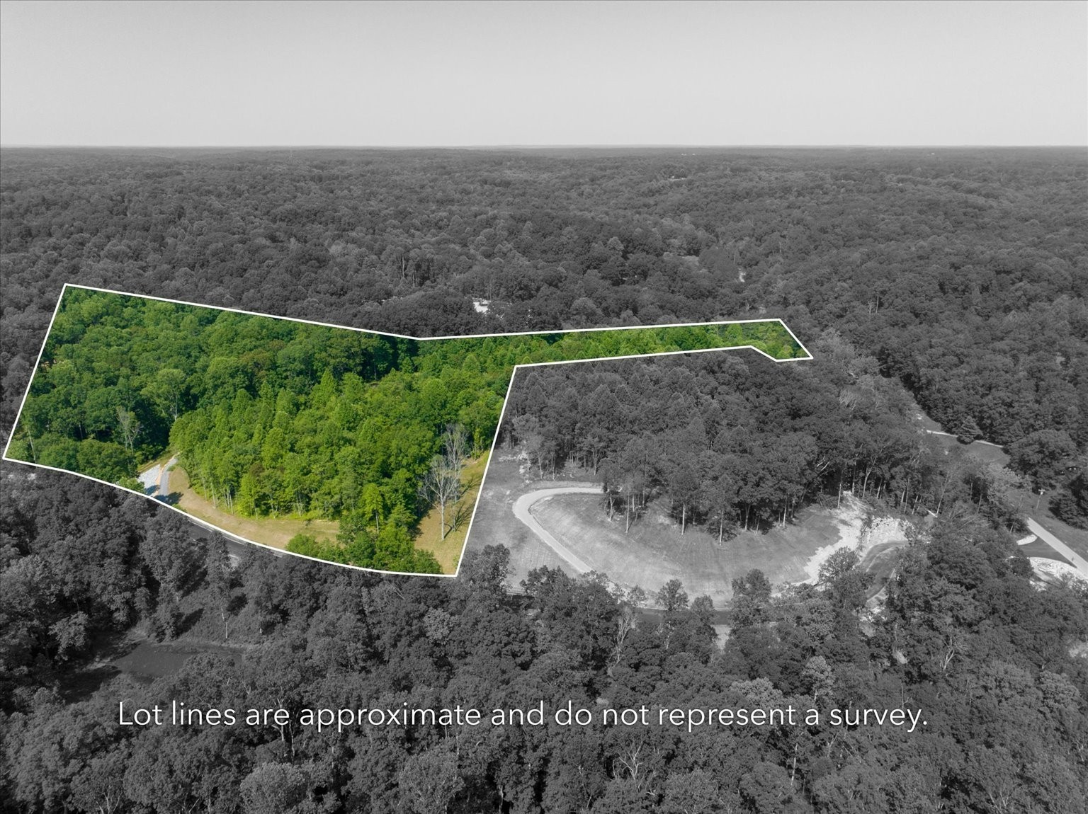 6009 Garrison Road Franklin, TN 37064 - Photo 2 of 21 a view of a dry yard