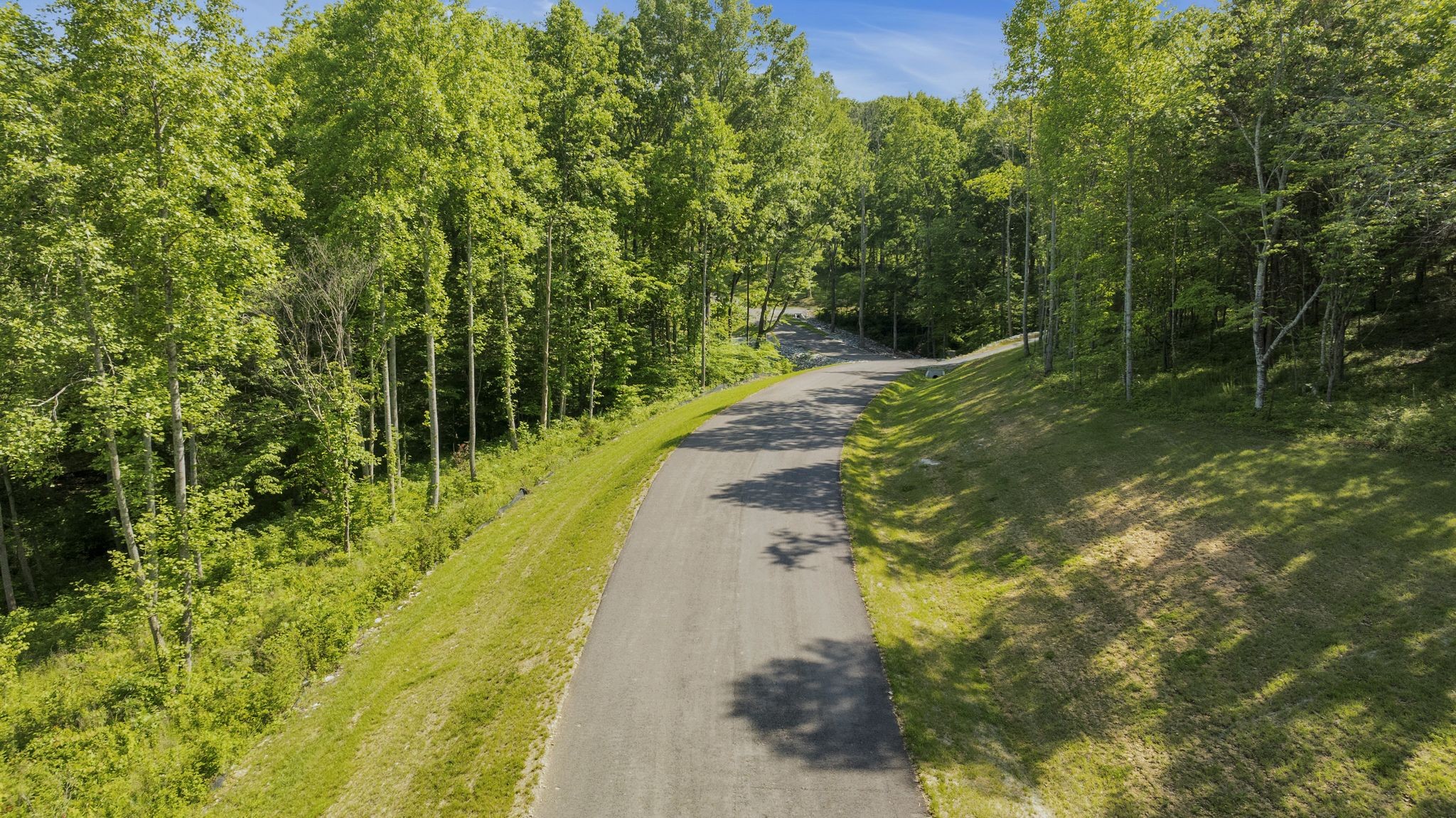 6009 Garrison Road Franklin, TN 37064 - Photo 4 of 21 a view of a yard with plants and large trees
