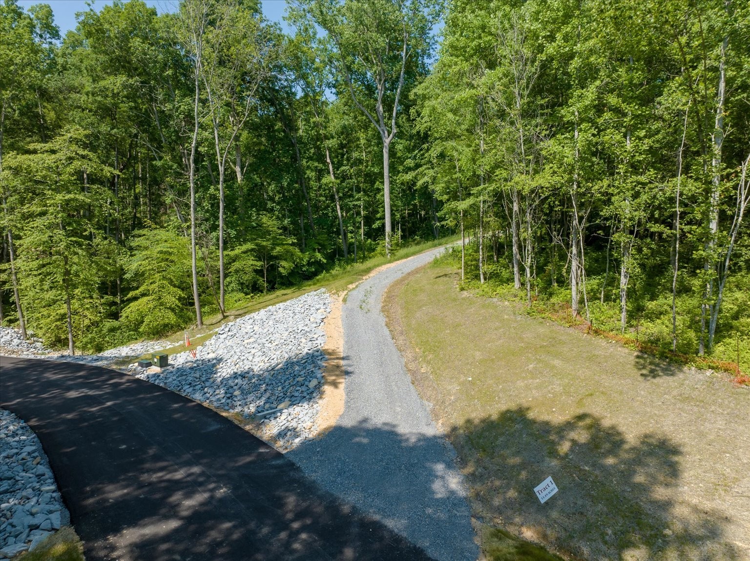 6009 Garrison Road Franklin, TN 37064 - Photo 5 of 21 a view of a yard with trees