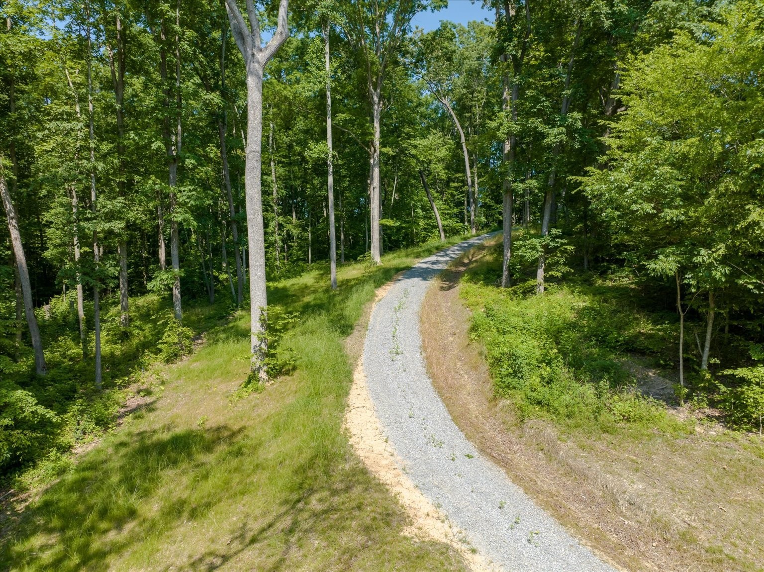 6009 Garrison Road Franklin, TN 37064 - Photo 6 of 21 a view of a yard with plants and large trees