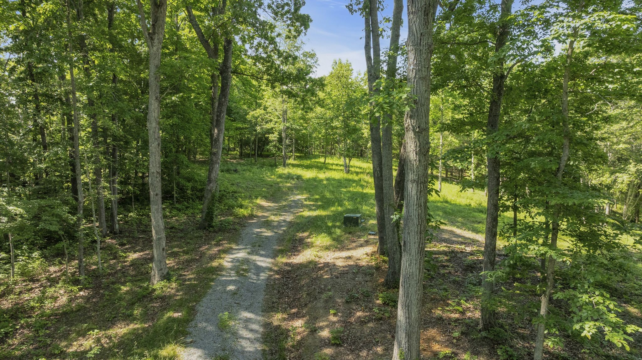 6009 Garrison Road Franklin, TN 37064 - Photo 7 of 21 a view of outdoor space and yard