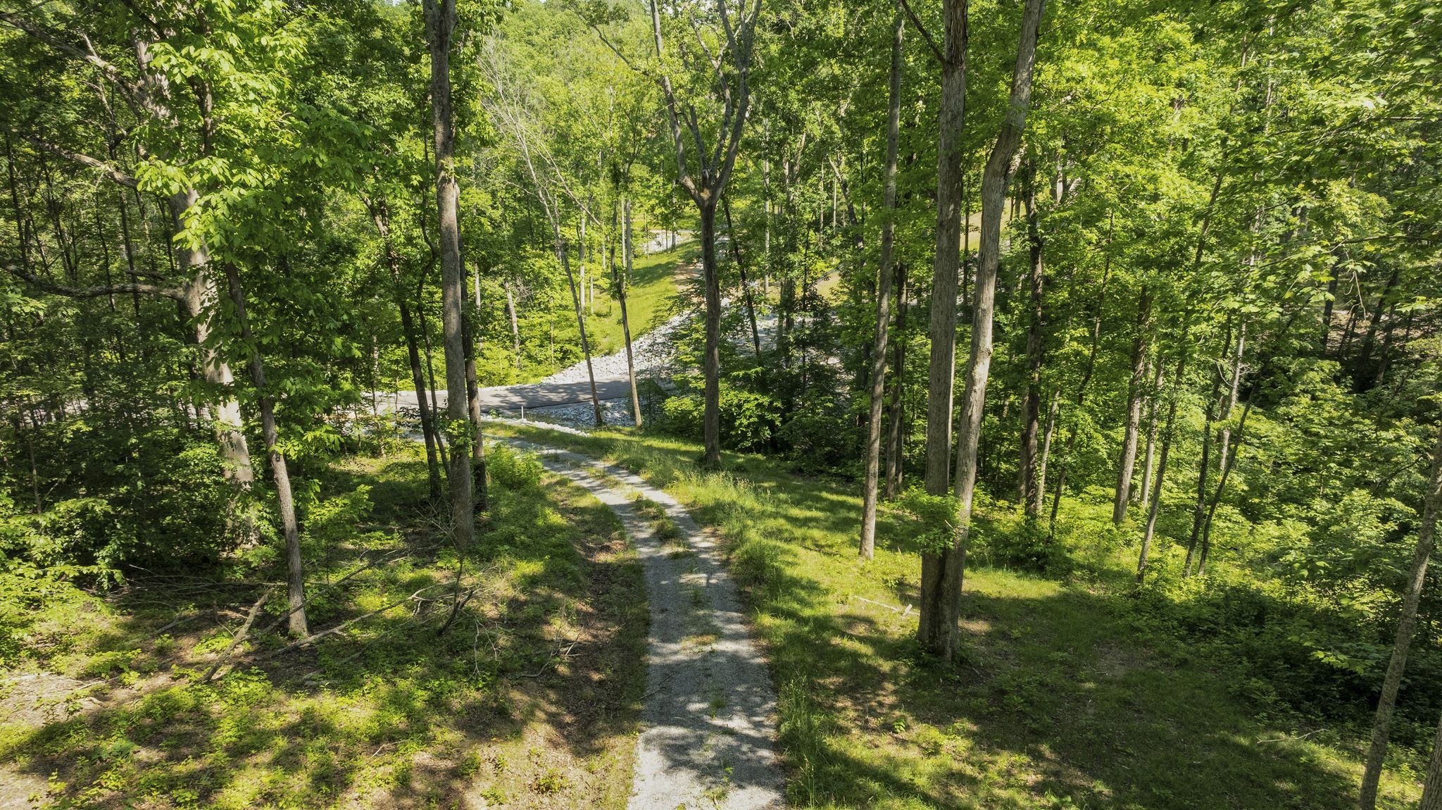 6009 Garrison Road Franklin, TN 37064 - Photo 8 of 21 a view of yard