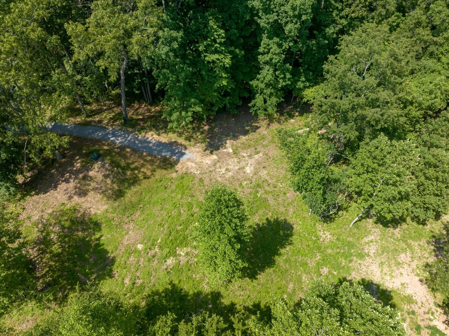 6009 Garrison Road Franklin, TN 37064 - Photo 9 of 21 a view of a yard with plants and large trees