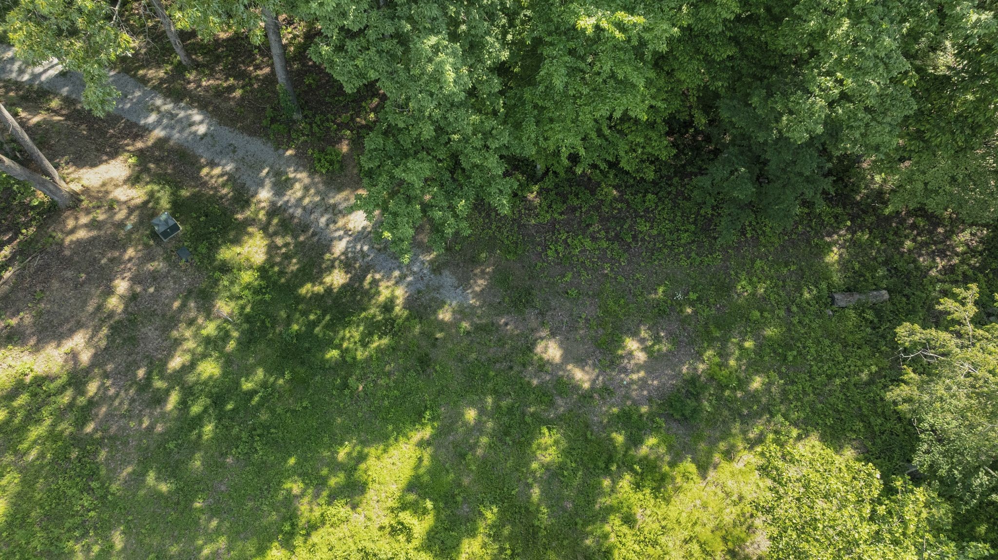6009 Garrison Road Franklin, TN 37064 - Photo 10 of 21 a view of a lush green forest