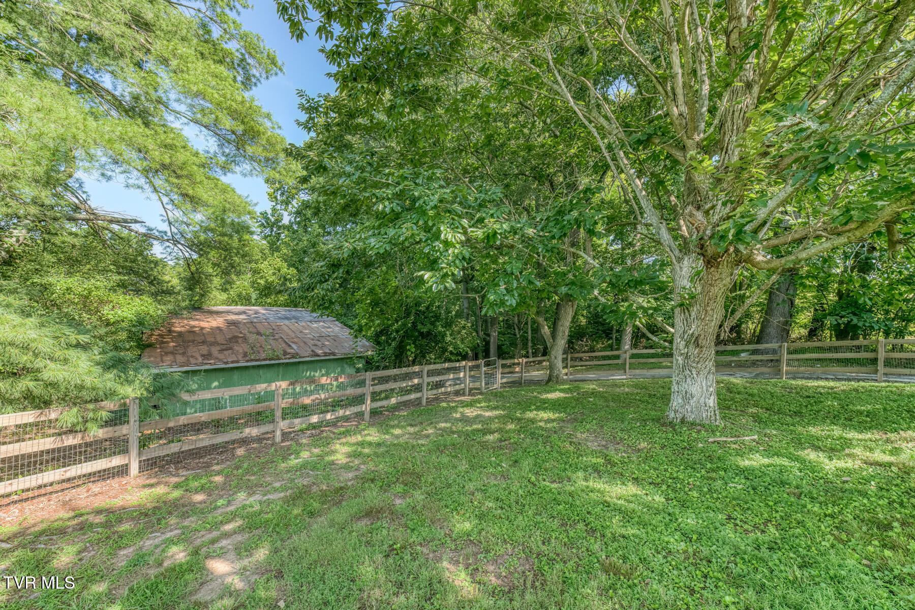 419 Kitzmiller Road Gray, TN 37615 - Photo 58 of 94 419 Kitzmiller Rd-75
