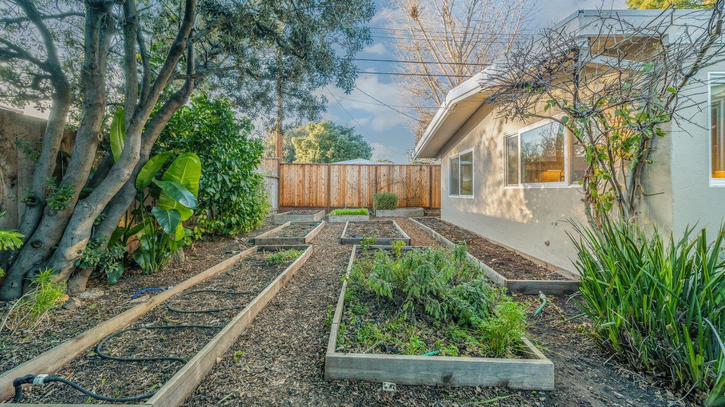806 Rorke Way Palo Alto, CA 94303 - Photo 37 of 41 a backyard of a house with lots of green space